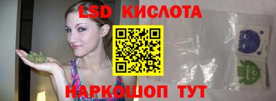индика Тула