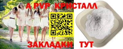 индика Тула